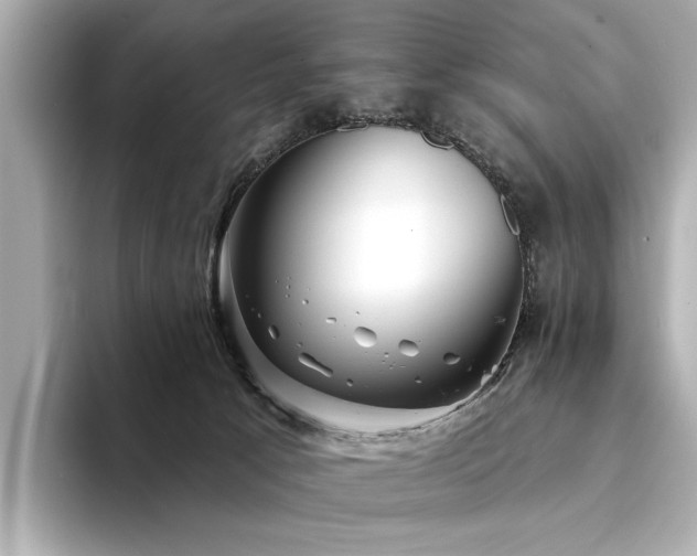 X0000094330033200711021418