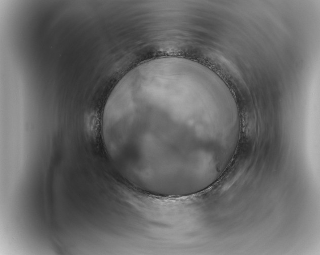 X0000094330036200711021418