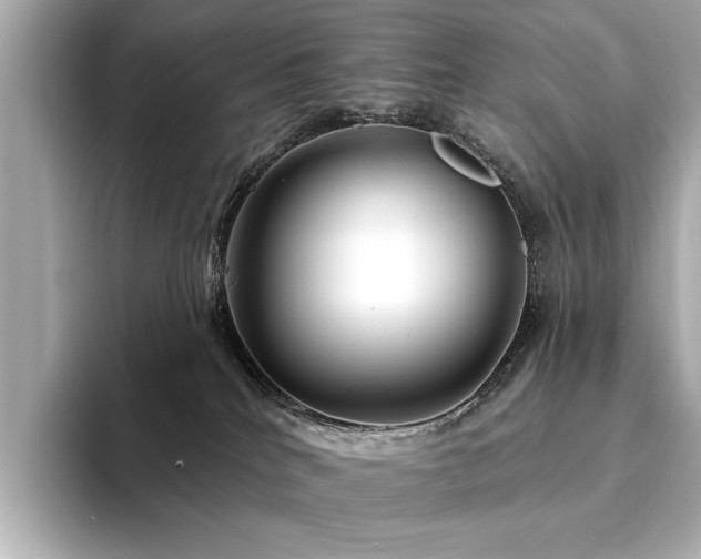 X0000094330040200711021418