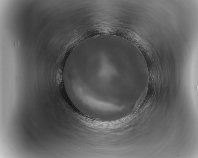 X0000094330043200711021418