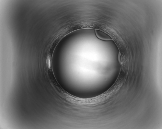 X0000094330046200711021418