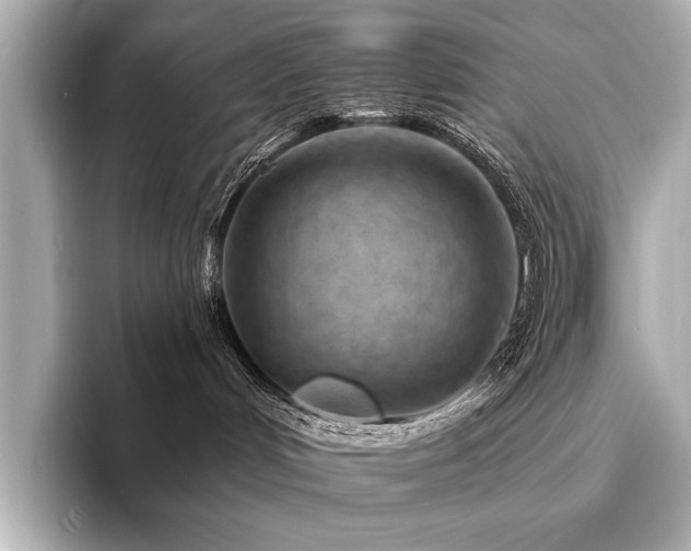 X0000094330048200711021418