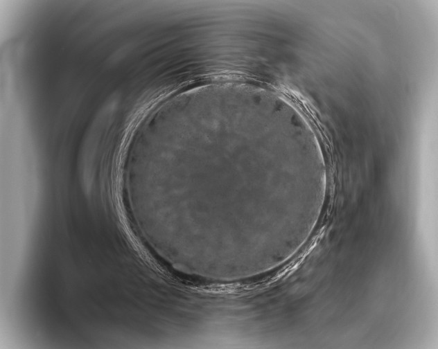 X0000094330049200711021417