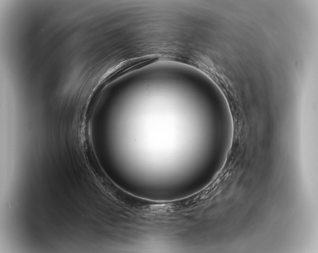 X0000094330050200711021417