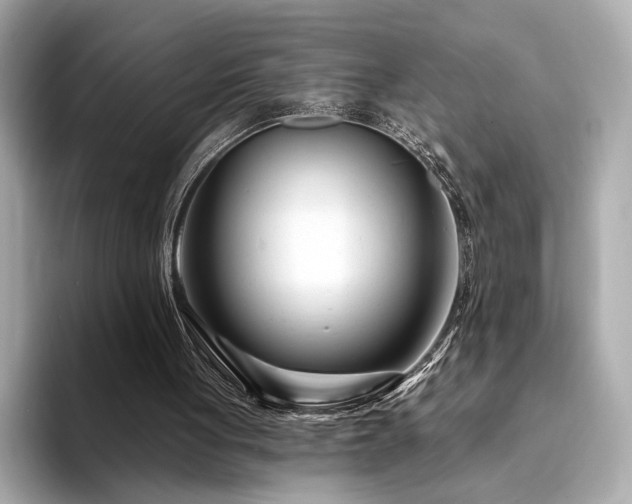 X0000094330051200711021417