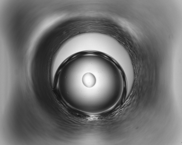 X0000094330052200711021417