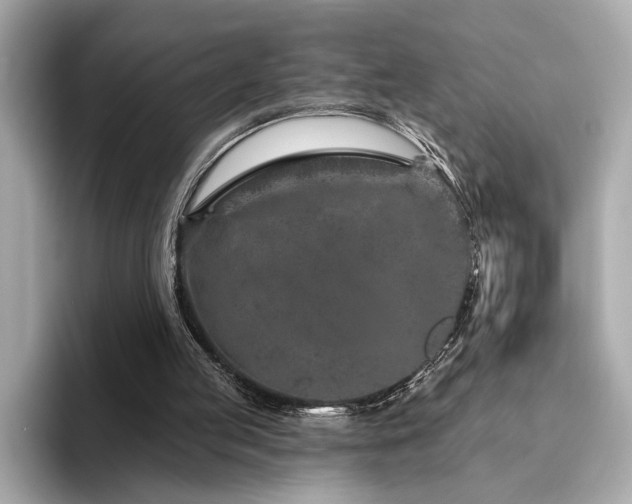 X0000094330053200711021417