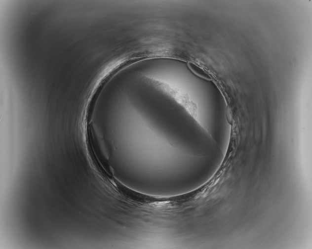 X0000094330054200711021417