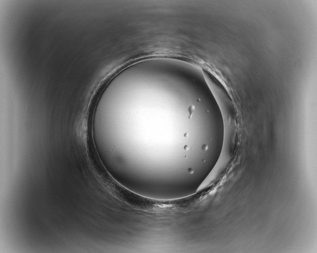 X0000094330055200711021417