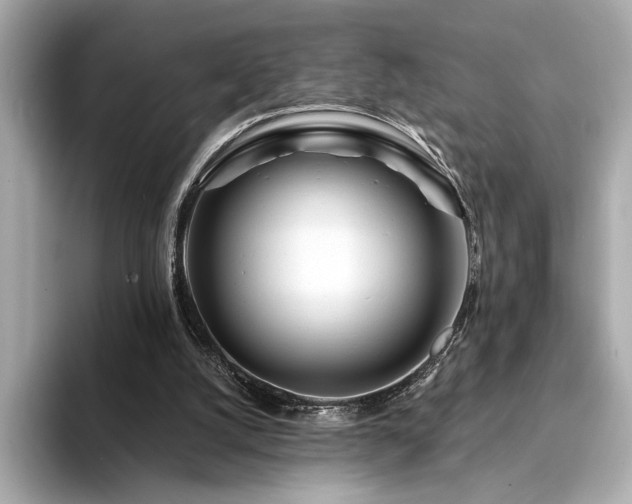 X0000094330056200711021417