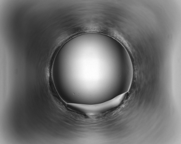 X0000094330059200711021417
