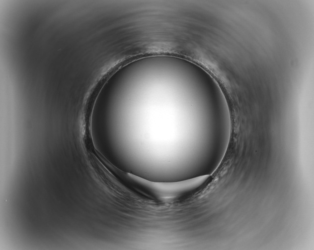 X0000094330060200711021417