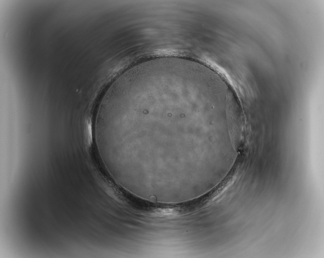 X0000094330061200711021417