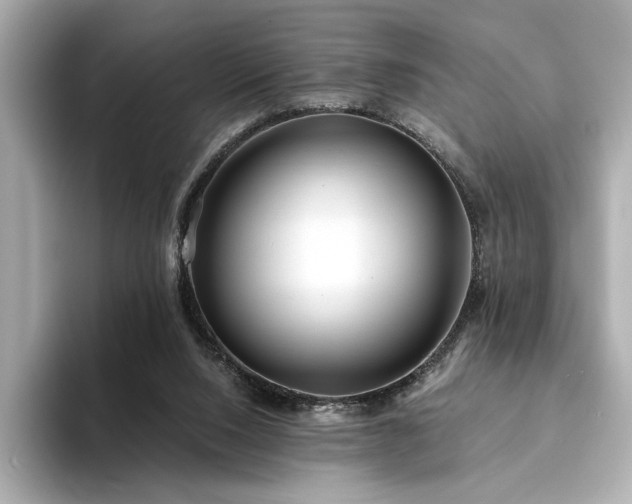 X0000094330064200711021417