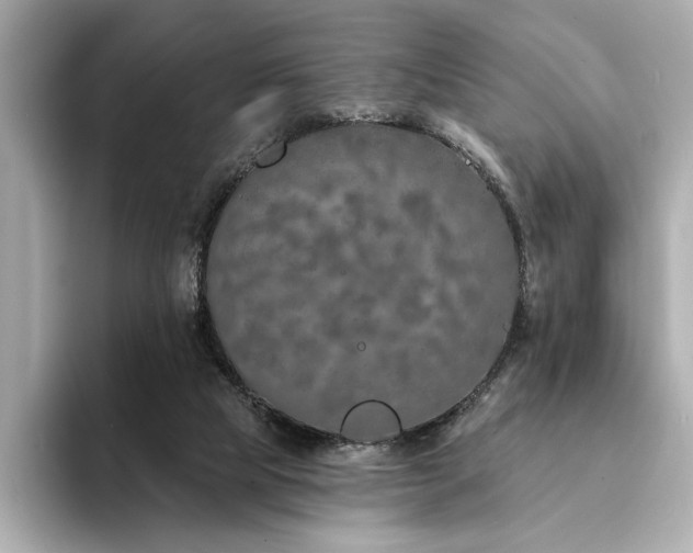 X0000094330065200711021417