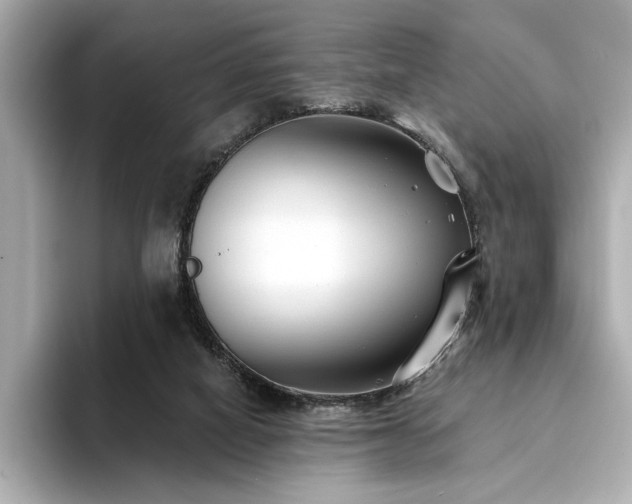 X0000094330066200711021417