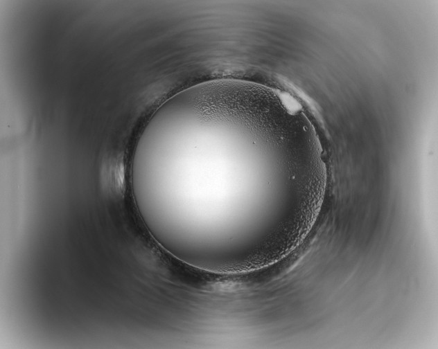X0000094330067200711021417