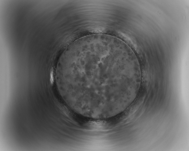 X0000094330069200711021417