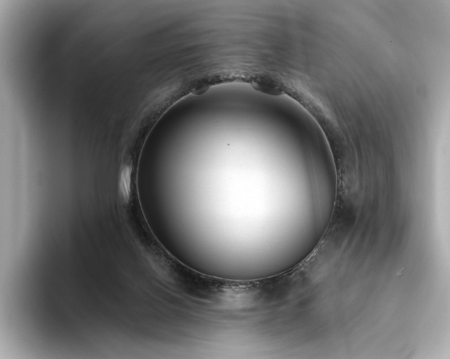 X0000094330070200711021417