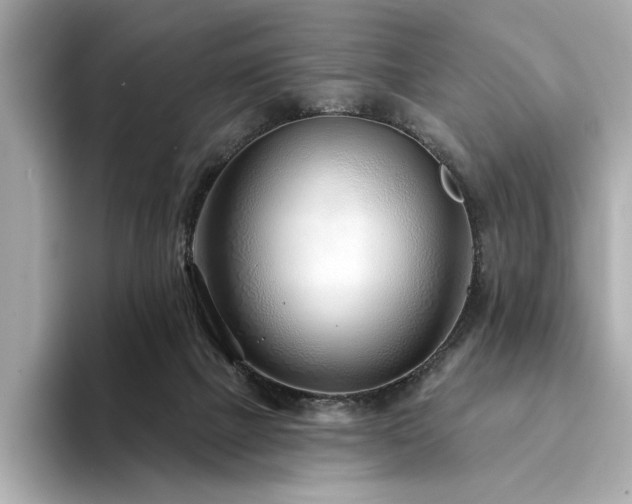 X0000094330073200711021417