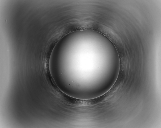 X0000094330077200711021417