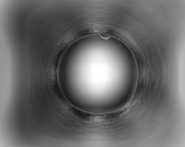 X0000094330078200711021417