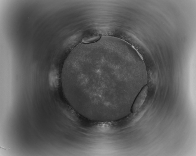 X0000094330080200711021417