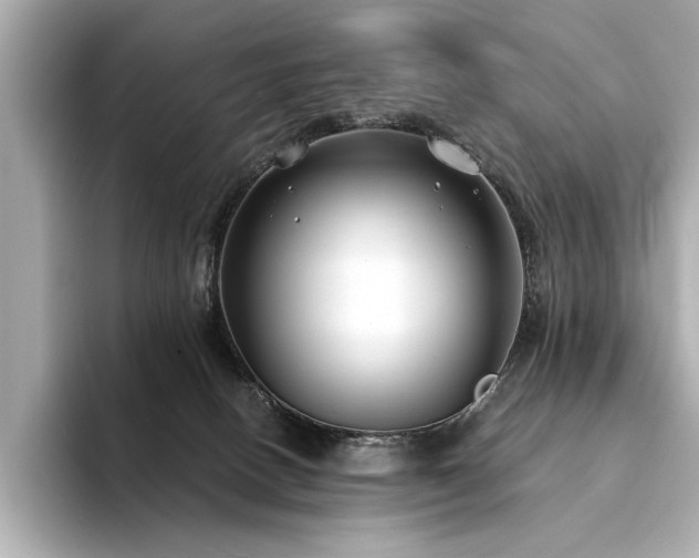 X0000094330082200711021417