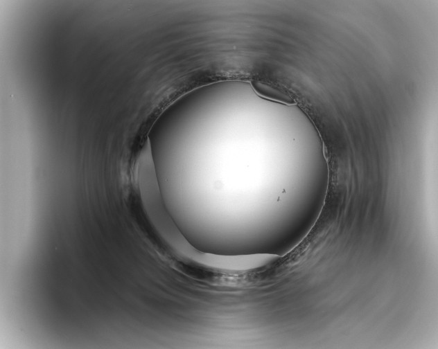 X0000094330084200711021417