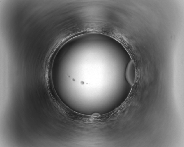 X0000094330098200711021417