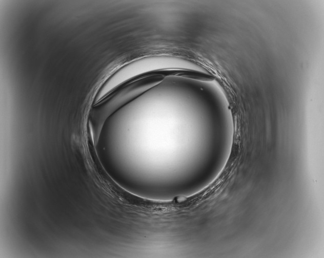 X0000094330099200711021417