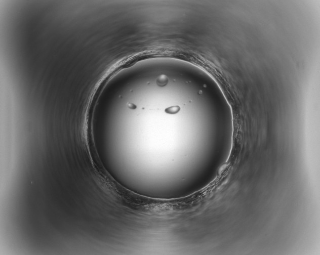 X0000094330100200711021417