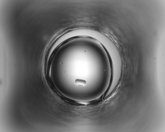 X0000094330101200711021417
