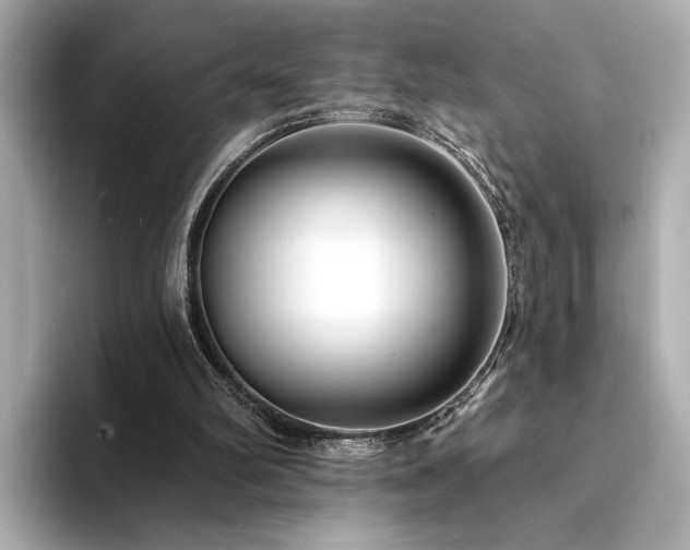 X0000094330102200711021417