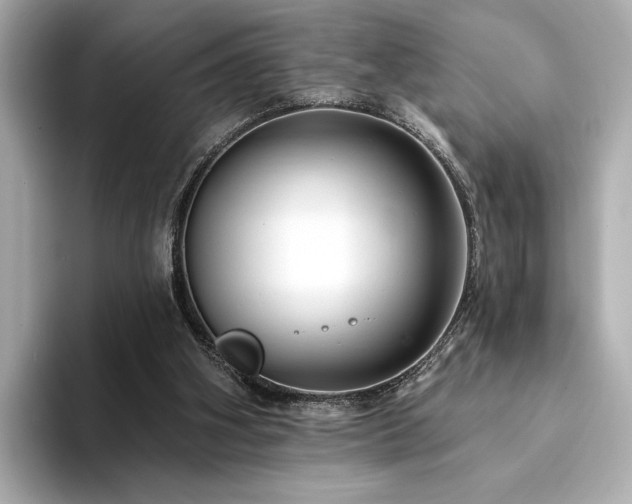 X0000094330106200711021417