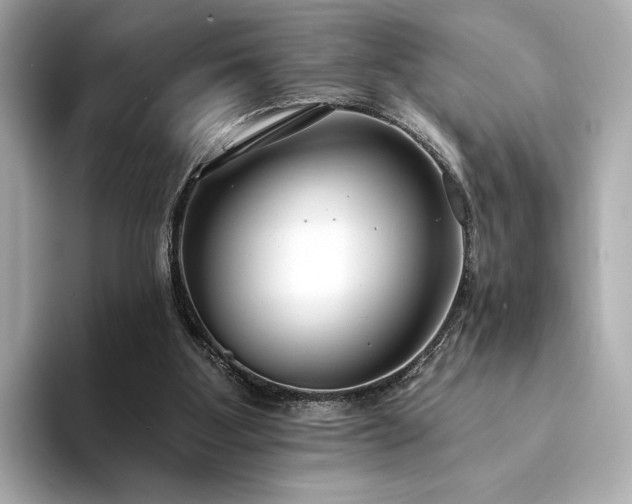 X0000094330107200711021417