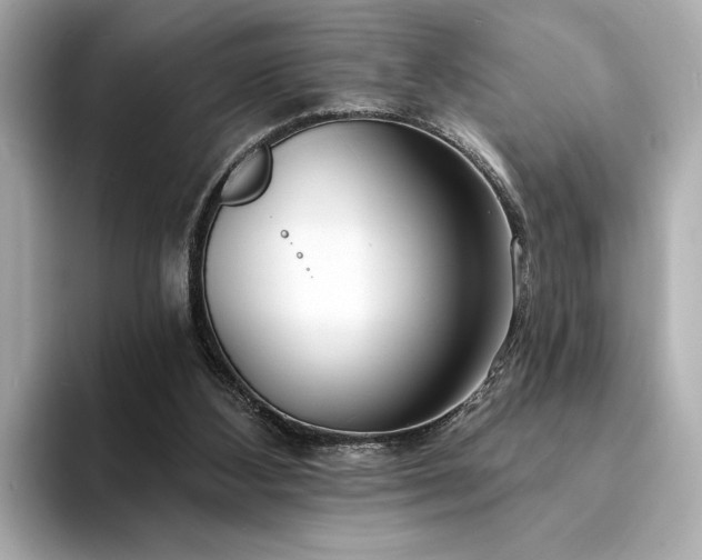X0000094330108200711021417