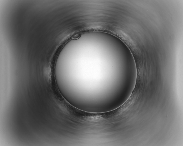 X0000094330112200711021417