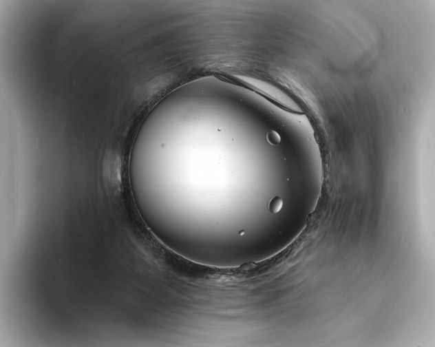X0000094330115200711021417