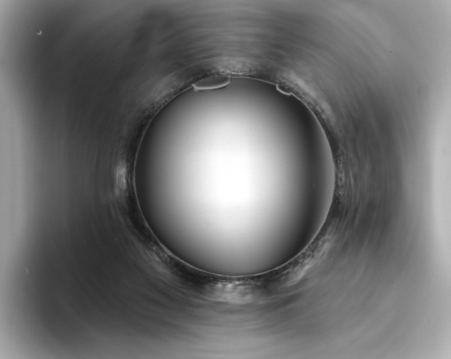 X0000094330117200711021417