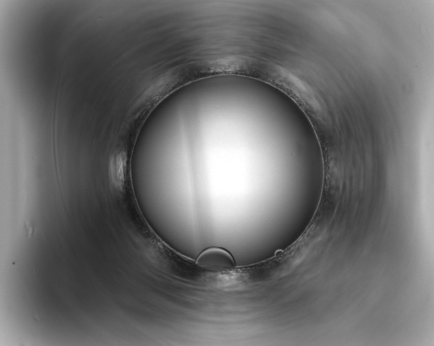 X0000094330118200711021417