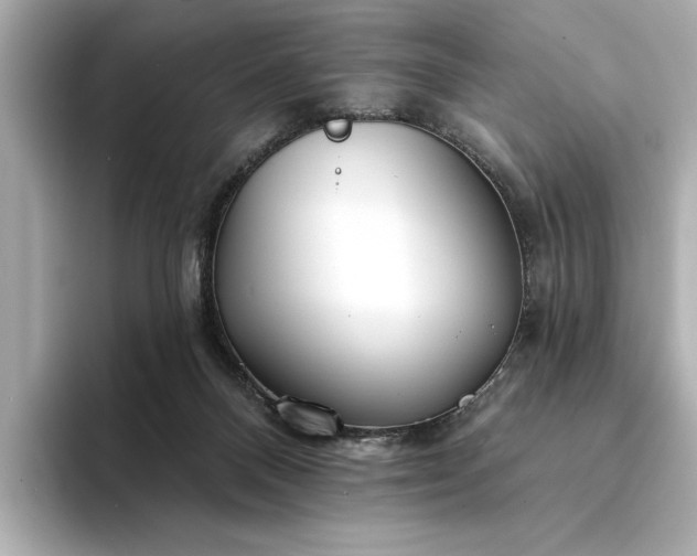 X0000094330120200711021417