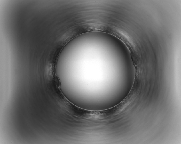X0000094330121200711021417