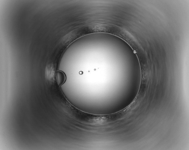 X0000094330124200711021417