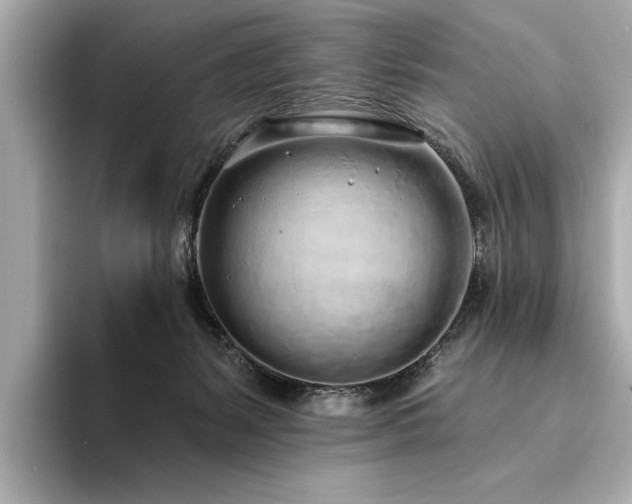 X0000094330127200711021417