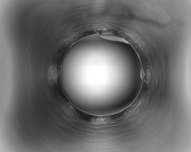 X0000094330129200711021417
