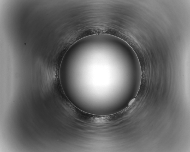 X0000094330134200711021417