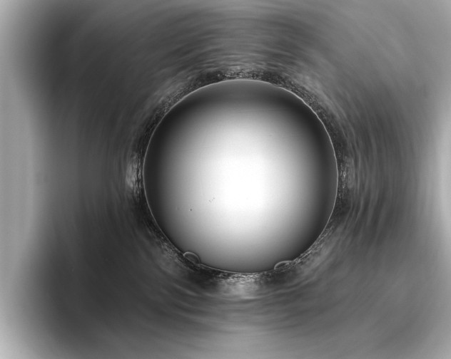 X0000094330138200711021417