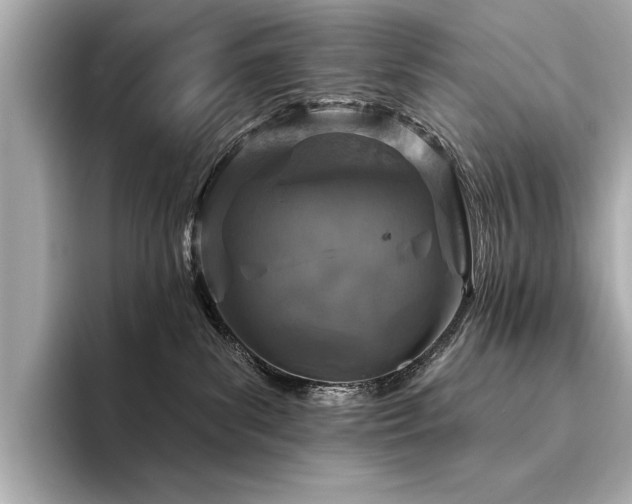 X0000094330139200711021417