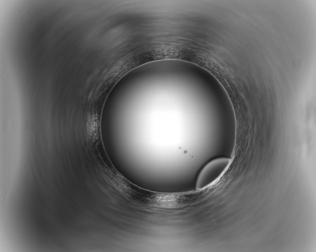 X0000094330144200711021416